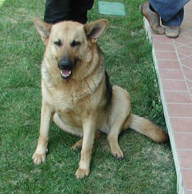 Santo20Stefano20Roero20Maurizio20-202011-05-0820-2006_Lady20in20posa20cheese