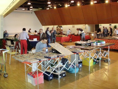 mogliano205x320002