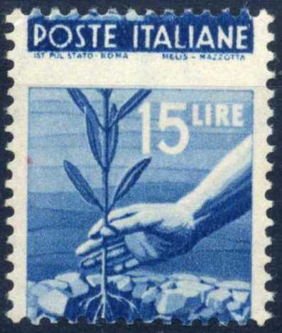 Copia_2_di_img996